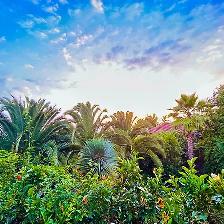 Tenerife - Traumblick, Tropischer Garten, Viel Platz & Ruhe בית נופש